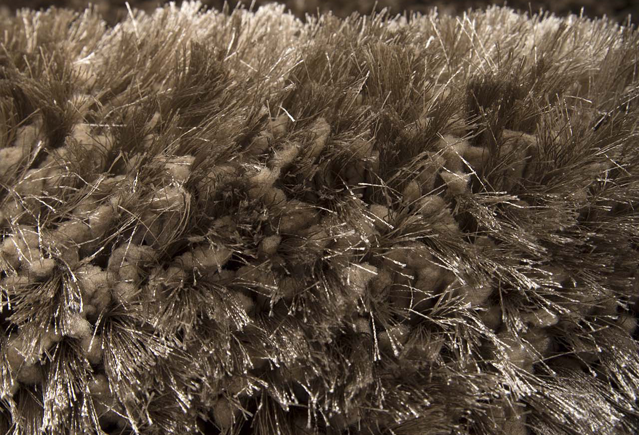 Shaggy Fluff
