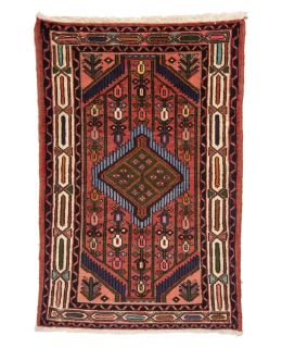 Hamadan Multi 77x119