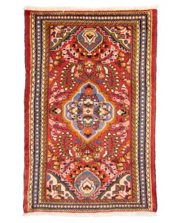 Hamadan Multi 74x115