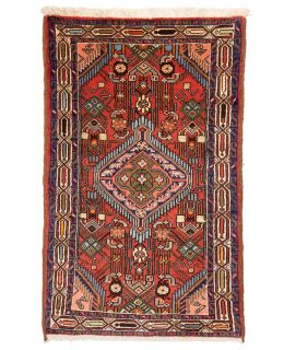 Hamadan Multi 74x120