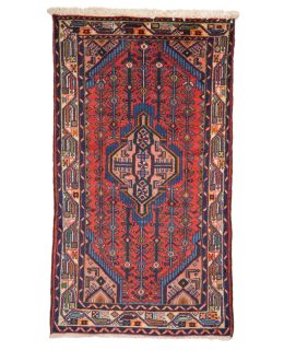 Hamadan Multi 73x132