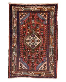 Hamadan Multi 77x115