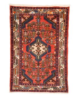 Hamadan Multi 79x117