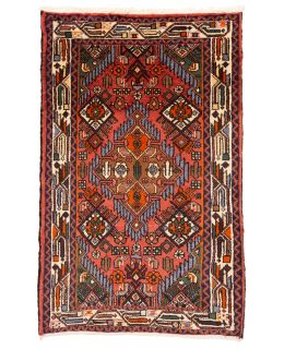 Hamadan Multi 74x117