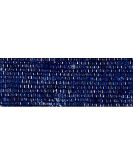 Image Lable BlueOne31-03-20-10:19:57