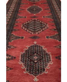 Medallion Apricot 79x289