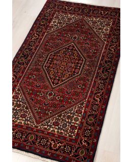 Bidjar Zandjan Multi 81x152