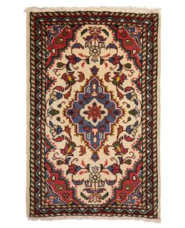 Hamadan Multi 49x76