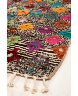 Kohi Multi 252x359