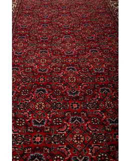 Bidjar Silk Touch Red 73x245